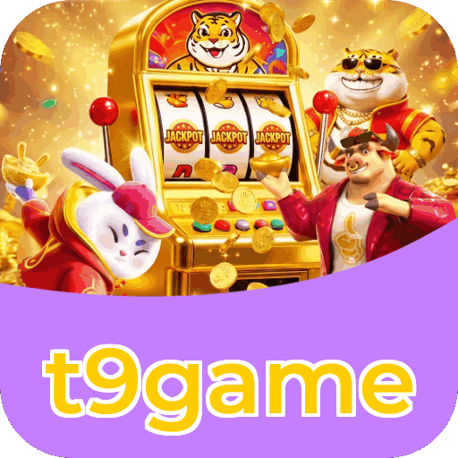 Métodos de pagamento aceitos na t9game